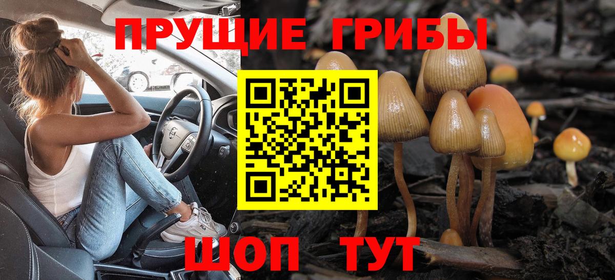 Галлюциногенные грибы мицелий Вязники